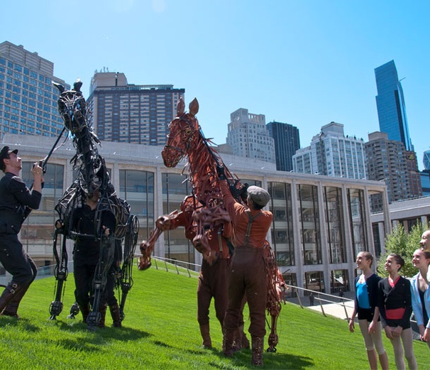 War Horse Colts Cavort on Lincoln Center's New Lawn