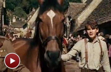 War Horse on Film: Watch the Trailer for Steven Spielberg's Movie