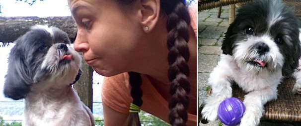 Anything Goes Star Sutton Foster Has a Lot in Common With Her Chocoholic Shih Tzu