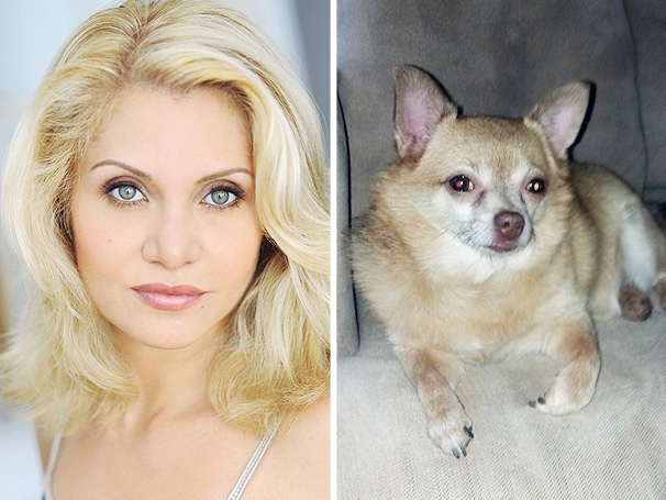 Doggie Nuptials! Orfeh’s Pomeranian to Wed Chihuahua Girlfriend for Animal Rescue Benefit