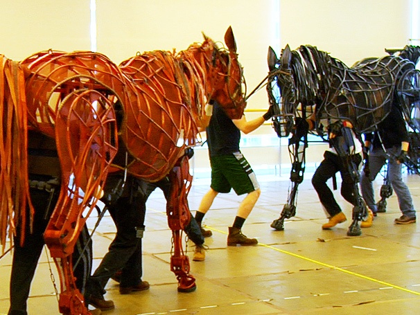 Giddyup! Tony-Winning Broadway Play War Horse Hits the Road