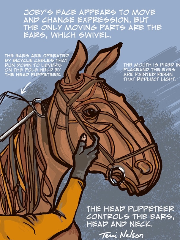 Check Out Local Portland Artists’ Drawing of War Horse’s Loyal Star Joey