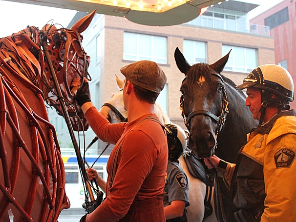 Cute Alert! War Horse Star Joey Gets Nosy with Minneapolis Police Horses