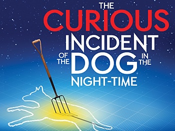 Tickets Now On Sale for The Curious Incident of the Dog in the Night-Time on Broadway