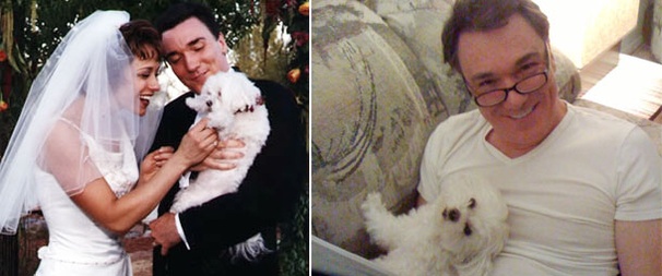 It's a Bird...It's a Plane...It's Spider-Man Villain Patrick Page's Pup Soaring Like Superman