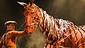 A scene from the national tour of 'War Horse'