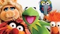 The Muppets