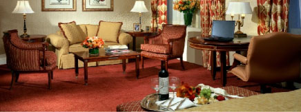 Luxury King Guestroom