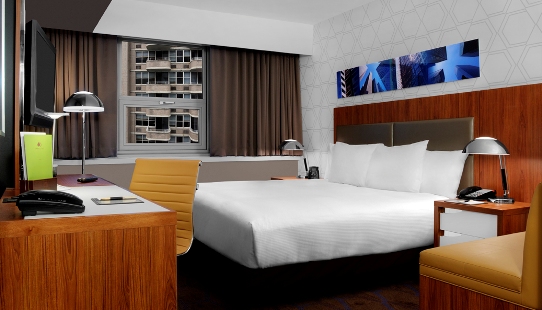 Standard King or Queen Guestroom