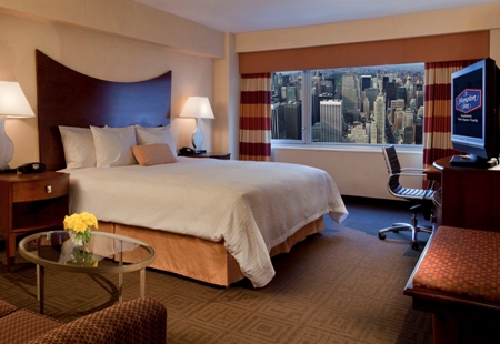 Standarde King Guestroom