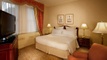 Deluxe Guest Room