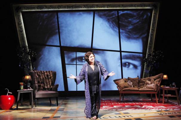 Wishful Drinking - Show Photos - Carrie Fisher (lea hair)