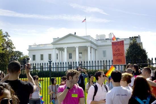 Hair at the National Equality March - White House