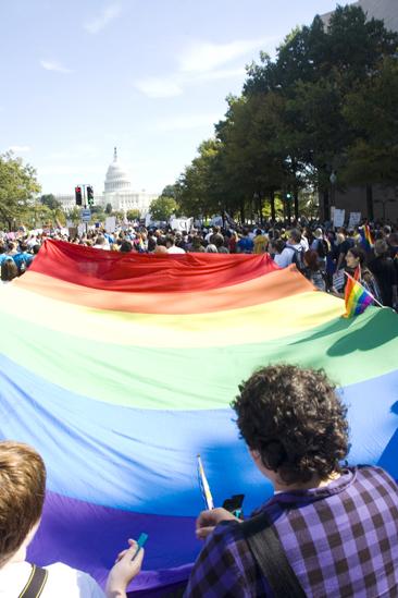 Hair at the National Equality March - Rainbow flag