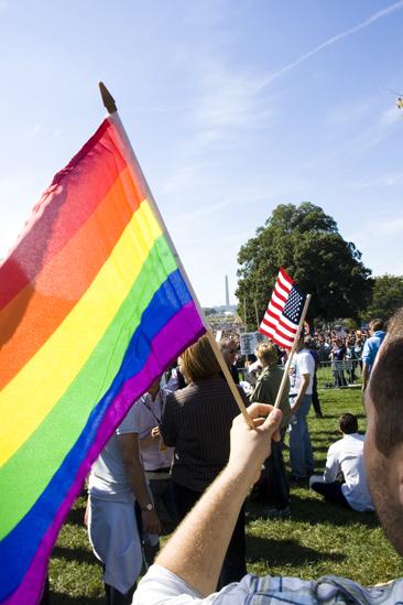 Hair at the National Equality March - Double flags