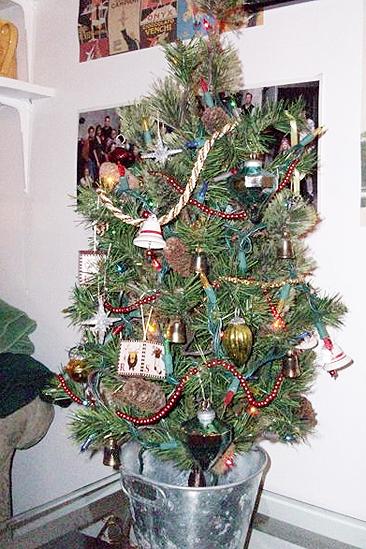 Rondi Reed Seasonal Snapshots at Wicked – little tree