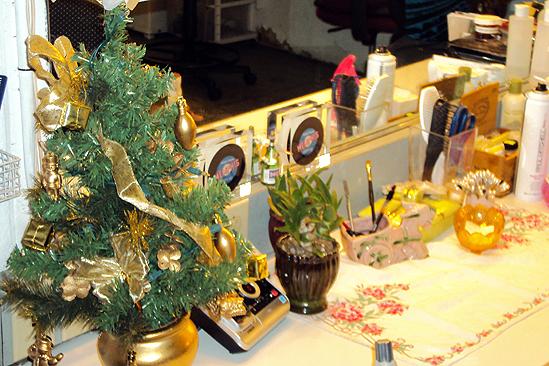 Seasonal Snapshots at Memphis 2009 – dressing table