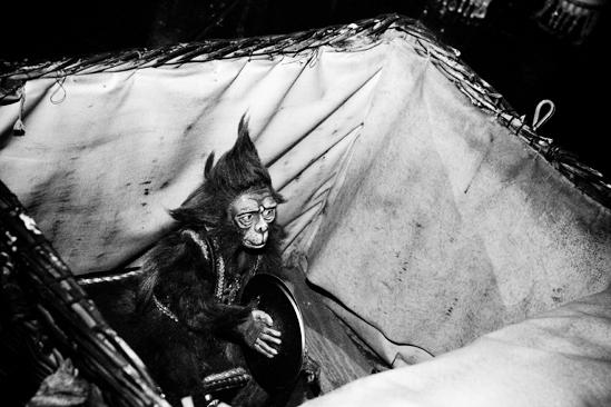 Day in the Life of Phantom of the Opera – monkey prop