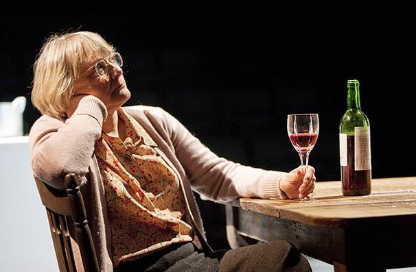 Show Photos - When the Rain Stops Falling - Mary Beth Hurt 