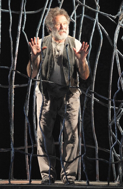 Show Photos - Bengal Tiger at the Baghdad Zoo - Robin Williams 