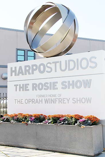 Priscilla Rosie - studio