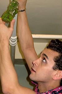 Photo Op - Holidays at Jersey Boys - Michael Longoria (hanging the misletoe)