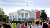 Hair at the National Equality March - White House