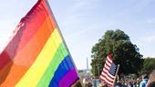 Hair at the National Equality March - Double flags