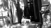 A Day in the Life with Matt Doyle - Matt Doyle morning