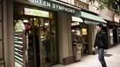 Day in the Life of Justin Guarini – Justin Guarini (Green Symphony)