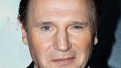 Harry Potter 7 – Liam Neeson