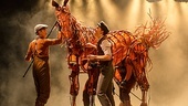 Show Photos - War Horse - tour