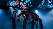 Show Photos - War Horse - tour