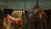 Show Photos - War Horse - tour