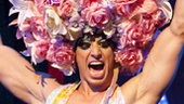 Show Photos - Priscilla Queen of the Desert - Nick Adams 
