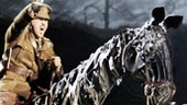 Show Photos - War Horse - cast 2 