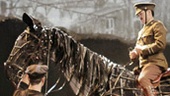 Show Photos - War Horse - cast