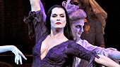 Show Photos - The Addams Family - Brooke Shields - cast 