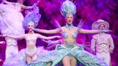 Show Photos - Follies - cast