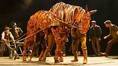 Show Photos - War Horse - tour