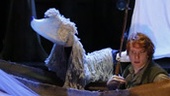 Show Photos - The Old Man and the Old Moon - Arya Shahi - Matt Nuernberger - Ryan Melia - Curtis Gillen 