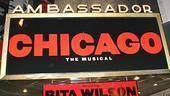 Rita Wilson opens in Chicago - marquee