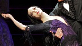 Show Photos - The Addams Family - Bebe Neuwirth - Roger Rees 