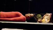 Hair rehearsal – Chasten Harmon