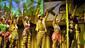 The cast of Fela!