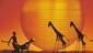 The cast of The Lion King.