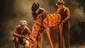 The cast of the national tour of War Horse.