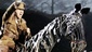 Show Photos - War Horse - cast 2 