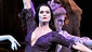 Show Photos - The Addams Family - Brooke Shields - cast 
