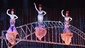 Show Photos - Priscilla Queen of the Desert